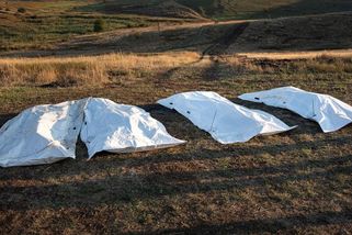 Ztráty Rusů s nástupem Trumpa k moci prudce vzrostly - Novinky